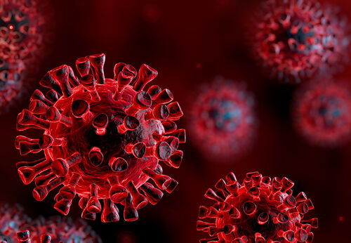 Coronavirus