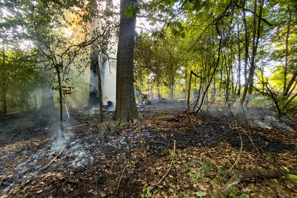 Waldbrand in OÖ