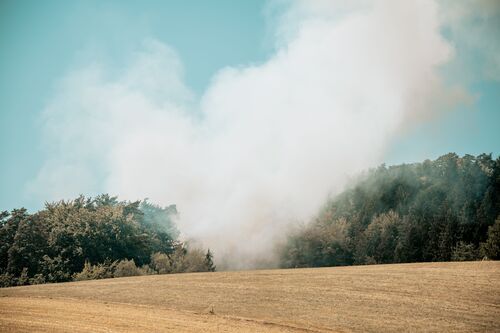Waldbrand im Bezirk Freistadt.