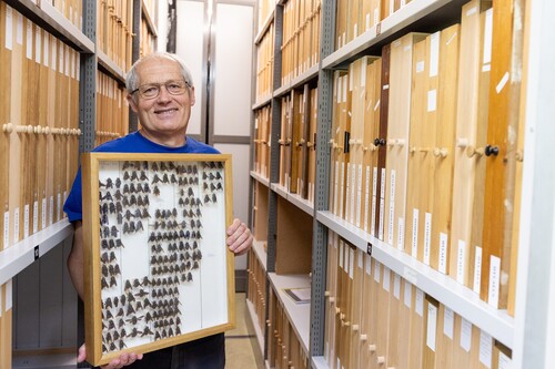 Person zwischen Archivregalen hält eine Tafel mit verschiedenen Bienenarten