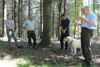 Philipp Stumbauer (Forstverwaltung Steyregg), Ing. Leopold Jungbauer (Forstverwaltung Steyregg), Klimaschutz-Landesrat Rudi Anschober und Prof. DI Dr. Eduard Hochbichler (Institut für Waldbau BOKU Wien)