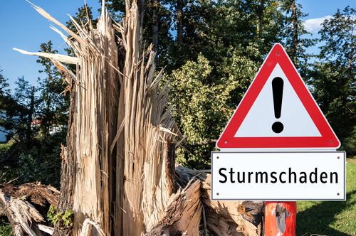 Umgeknickter Baum, Warnschild Sturmschaden