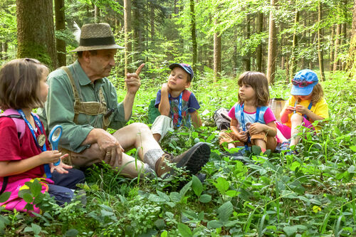 Wanderführung zum Thema der Schatz im Almtal, ein Mann und Kinder im Wald