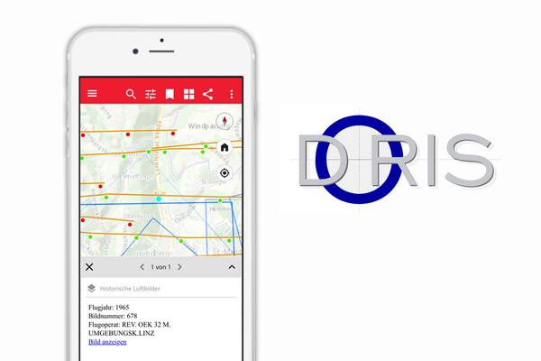 Doris-App-Ansicht auf Smartphone mit dem Doris-Logo