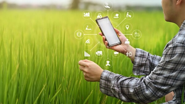 Person in kariertem Hemd steht in einem dichten grünen Feld und hält ein Smartphone in der Hand. Über dem Bild liegen transparente Symbole für digitale Landwirtschaft, etwa Standort, Datenanalyse, Maschinen und Bewässerung.