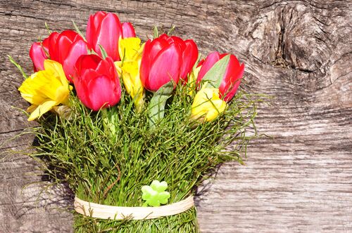 Blumenstrauß mit Tulpen und Narzissen vor einer Holzwand