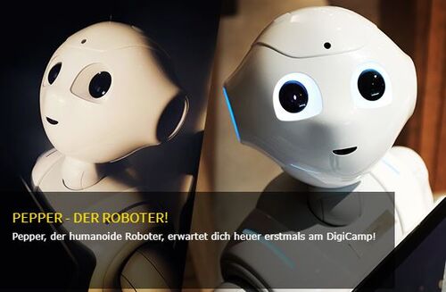 Roboter „Pepper“