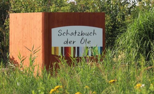 Große Holzwand in Buchform mit Beschriftung „Schatzbuch der Öle“ steht inmitten von Gräsern und Kräutern