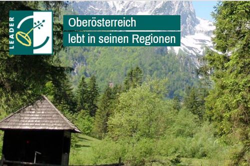 Landschaft mit Berg, Wald und Hütte, Aufschrift Oberösterreich lebt in seinen Regionen, Leader-Symbol: Illustration eines keimenden Samens