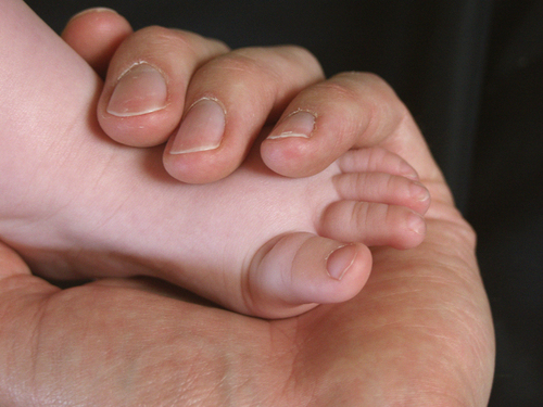 Kinderfüße in Hand