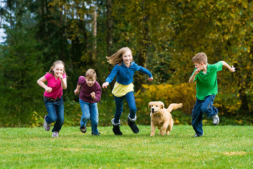 Gruppe Kinder auf der Wiese spielen mit einem Hund