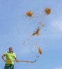 Spritzbegruenung mit Naturwiesensaatgut