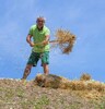 Spritzbegruenung mit Naturwiesensaatgut