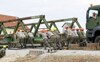 Bundesheer Pionieren errichten Behelfsbrücke über die Aschach in Waizenkirchen