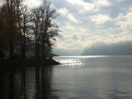 Blick auf den Traunsee