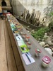 Bodenworkshop Klimaoase Lustenau