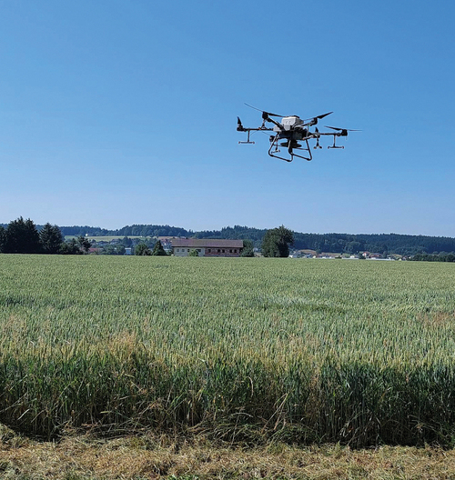 Drohne bei Befliegung eines Getreidefeldes
