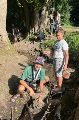 Kleinlebewelt im Wasser