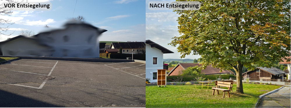 Parkplatz Pattigham vor und nach Entsiegelung