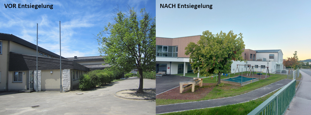 Volksschule St. Oswald bei Freistadt vor und nach Entsiegelung