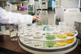 Mehrere Behälter mit Flüssigkeiten im chemisch-analytischen Labor