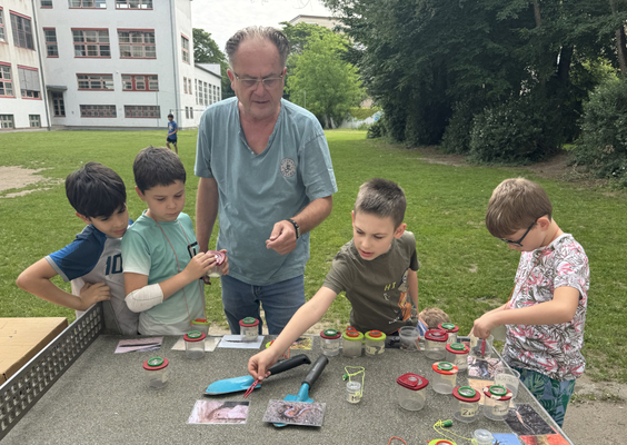 Was krabbelt denn da in der Klimaoase Lusten-Au?