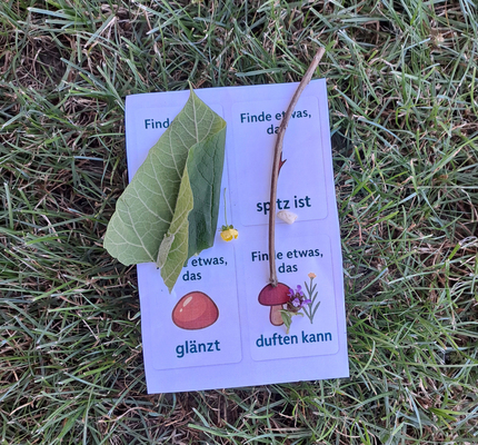 Dem Wald auf der Spur
