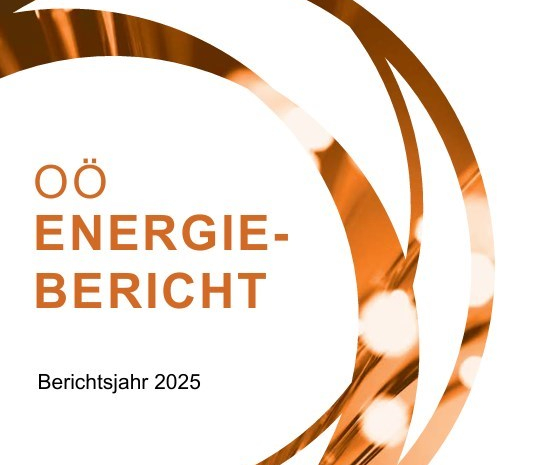Ausschnitt der Titelseite des Energieberichts 2025
