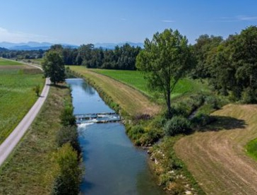 Renaturierte Landschaft an der Krems