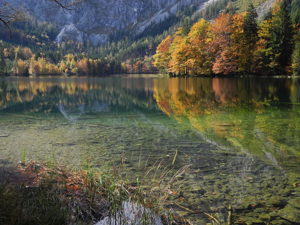 Bild vergrößern: Hinterer Langbathsee im Herbst Hinterer Langbathsee im Herbst