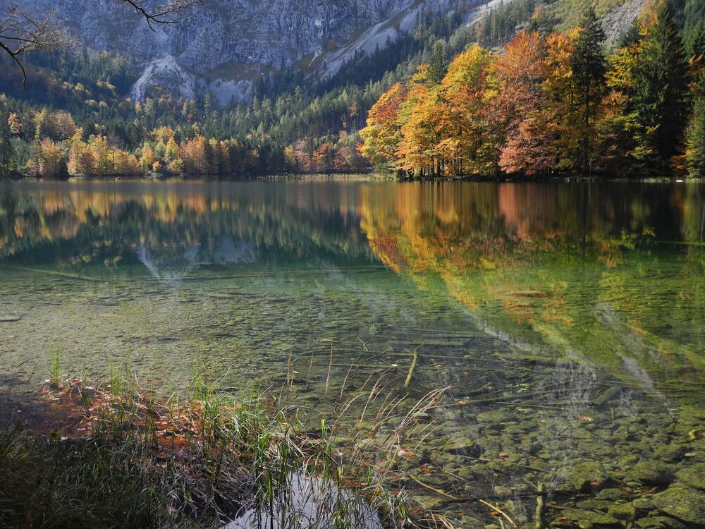 Bild vergrößern: Hinterer Langbathsee im Herbst Hinterer Langbathsee im Herbst