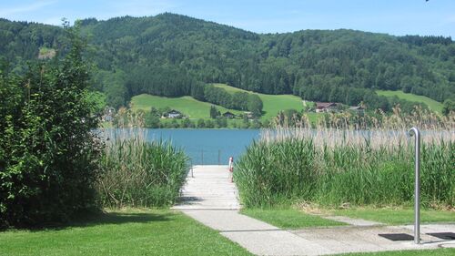 Irrsee bei Zell am Moos mit Kaltwasserdusche und Holzsteg zwischen hohem Schilfgras