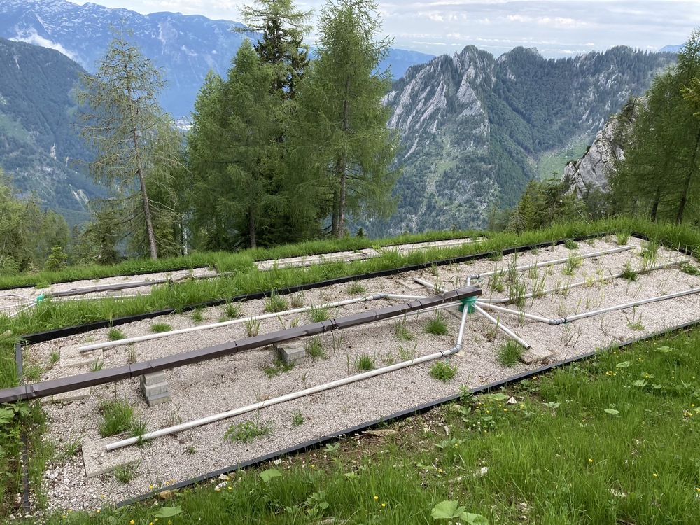 Pflanzenkläranlage Hochkogelhaus