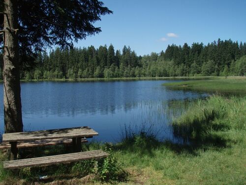 Unterer Rosenhofer Teich in dem sich blauer Himmel und Wald spiegelt, im Vordergrund ein einsamer Holztisch mit zwei Bänken