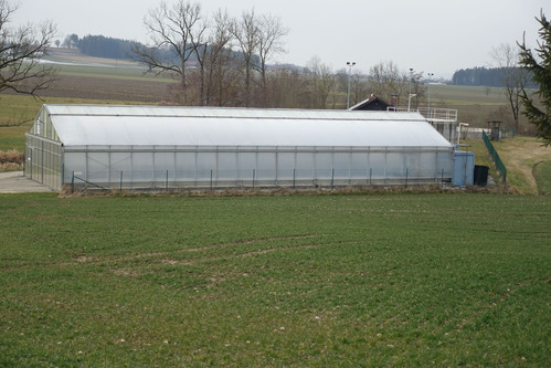 Solare Trocknungsanlage Gurten