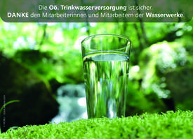 Wasserglas in der Natur