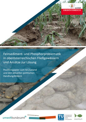 Titelbild zum Positionspapier Feinsediment- und Phosphorproblematik in den Oö. Fließgewässern