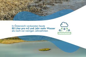 Kliwas - Meilenstein 4