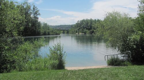 Weikerlsee bei Linz mit flachem schottrigen Zugang der rechts mit einem Stahlgeländer abgegrenzt ist, rundherum viele Bäume und Sträucher