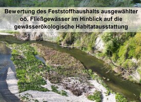 geteilter Flusslauf