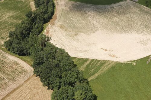 Erosionsschaden Erosionsschaden