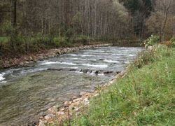 Naturnah umgebaute Pendelrampe (Quelle: Land OÖ, Gewässerbezirk Gmunden)