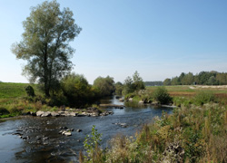 Renaturierter Flusslauf mit Damm und Flutmulde (Quelle: Land OÖ, Franz Gillinger)