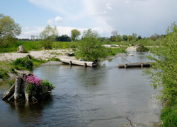 Renaturierte Naarn (Quelle: Land OÖ, Franz Gillinger)