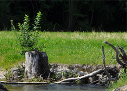 Renaturierung (Quelle: blattfisch.at)