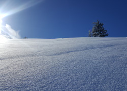 Winterlandschaft (Quelle: Land OÖ, Stefan Reinbacher)