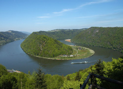 Donauschlinge (Quelle: Land OÖ)