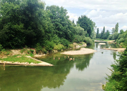 Strukturierungsmaßnahmen an der Krems (Quelle: Gewässerbezirk Linz)