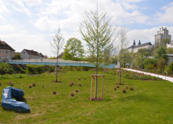 Landesgartenschau Kremsmünster (Quelle: Land OÖ, Wilhelm Somogyi)