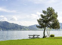 Mondsee (Quelle: www.fotolia.com © ecfpf )
